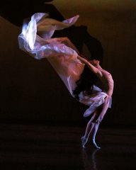 Brown Festival of Dance: Brown Festival of Dance highlights professional works by nationally and internationally acclaimed artists.